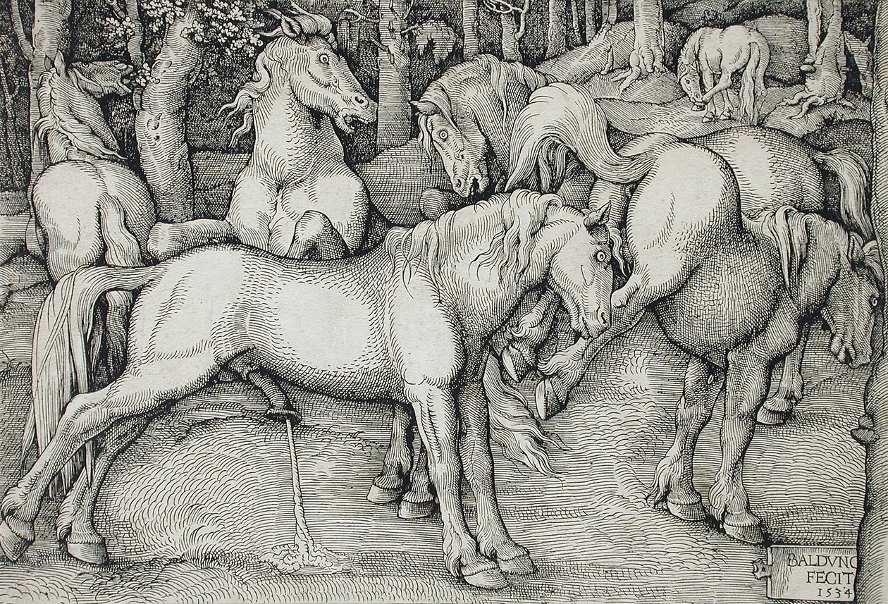 森の中で、野生の馬の群れの中にいる種馬と、蹴り上げようとする牝馬 作： ハンス・バルダン・グリエン