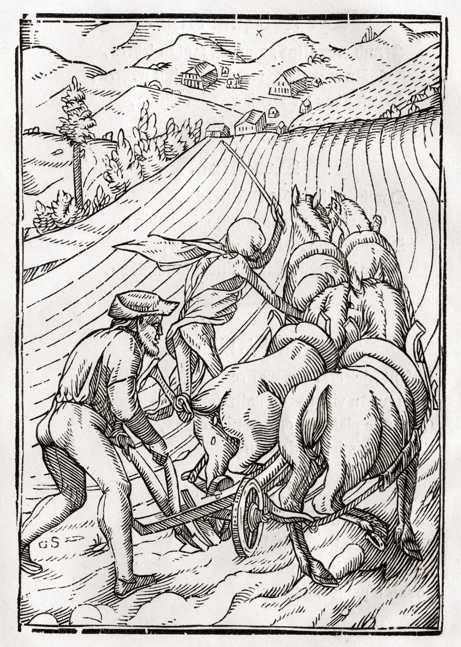 1843年にバーゼルで出版された「Der Todten Tanz」から、Georg Scharffenbergによって彫刻された農夫または夫のために死が訪れる 作： ハンス・ホルバイン・ザ・ヤング