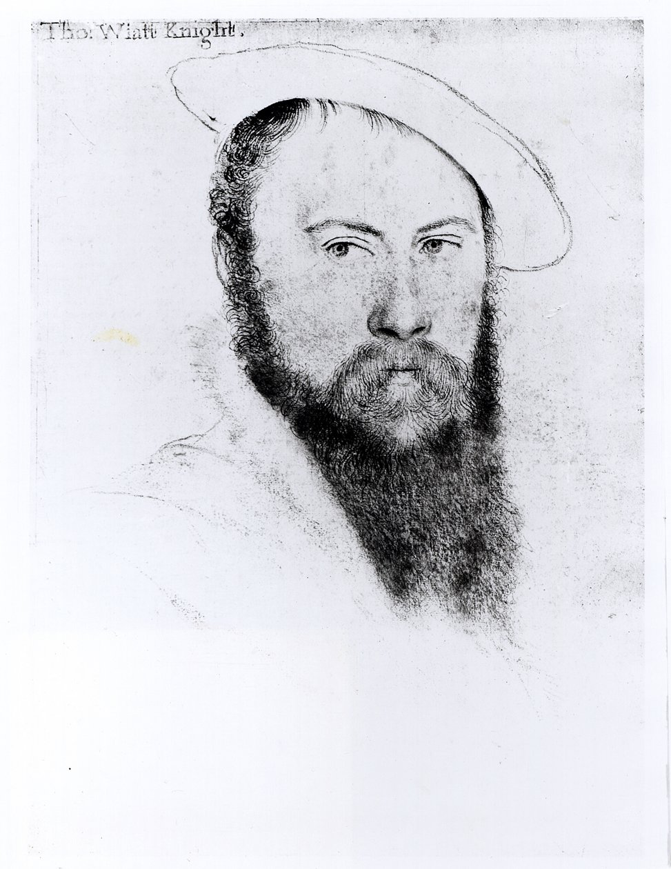 トーマスワイアットザヤンガー卿の肖像（1521-54年頃）（紙に鉛筆と木炭） 作： ハンス・ホルバイン・ザ・ヤング