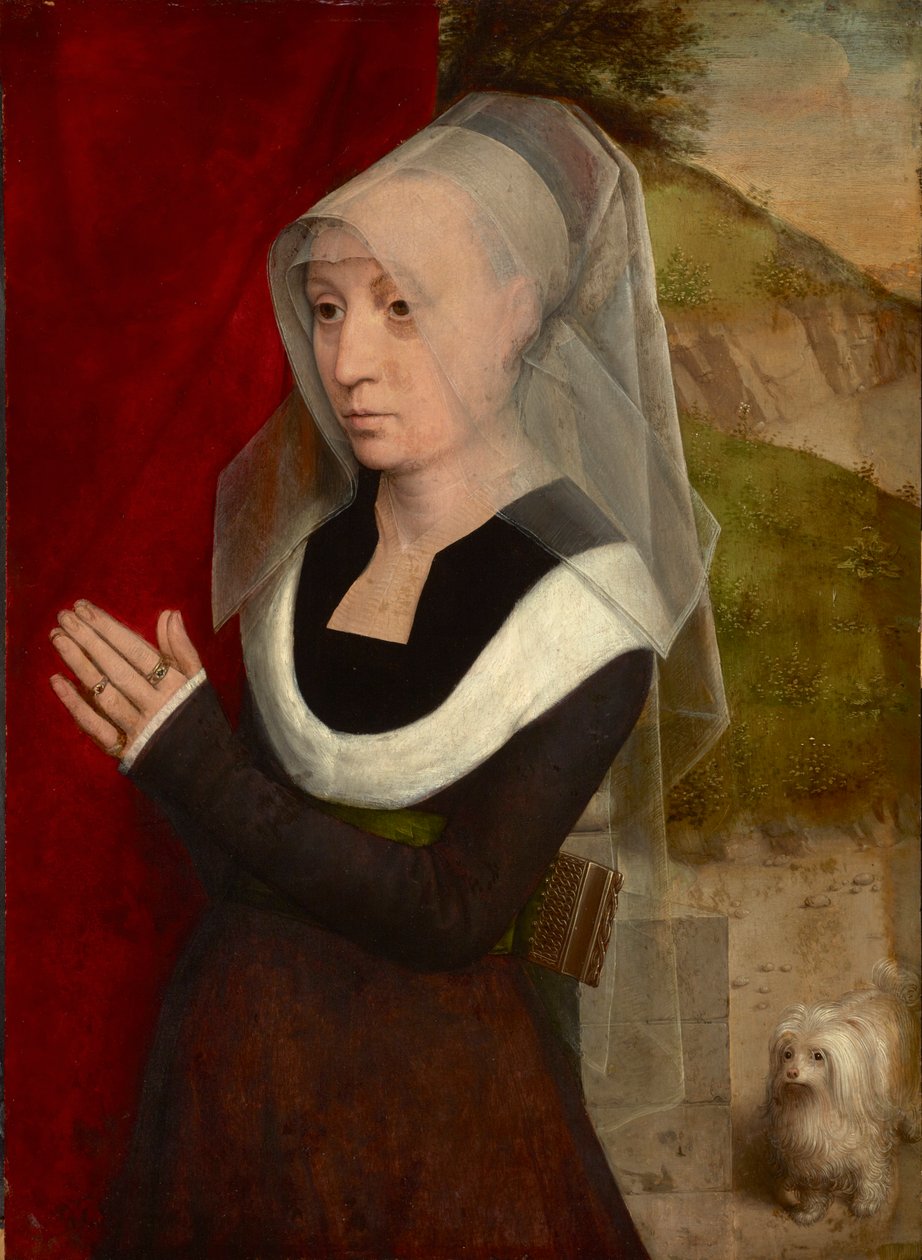 Femme en priere avec son chien - 犬を連れて祈る女性、ハンス・メムリンク作 (1433/40-1494)。 木に油彩 作： ハンス・メムリンク