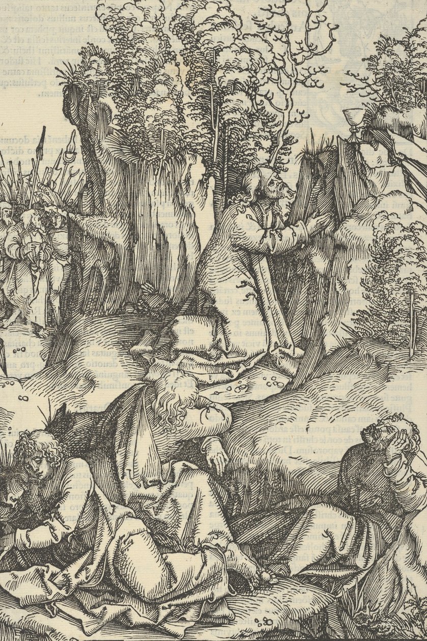 私たちの主イエス・キリストの情熱の鏡からの庭の苦悩、1507年。 作： ハンス・ショイフェライン長老
