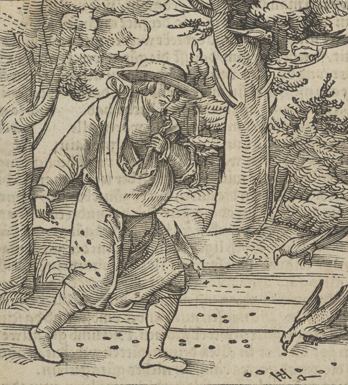 種をまく者の種を食べる鳥、Hymmelwagen auff dem, wer wol Leben..., 1517. 作： ハンス・シャウフェライン（父）