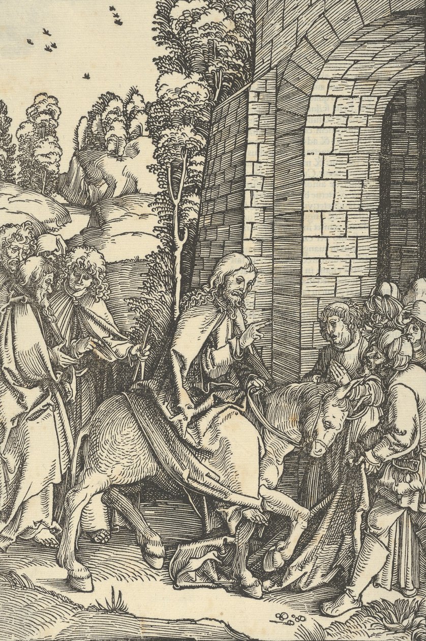 私たちの主イエス・キリストの情熱の鏡からのエルサレムへの入場、1507年。 作： ハンス・ショイフェライン長老