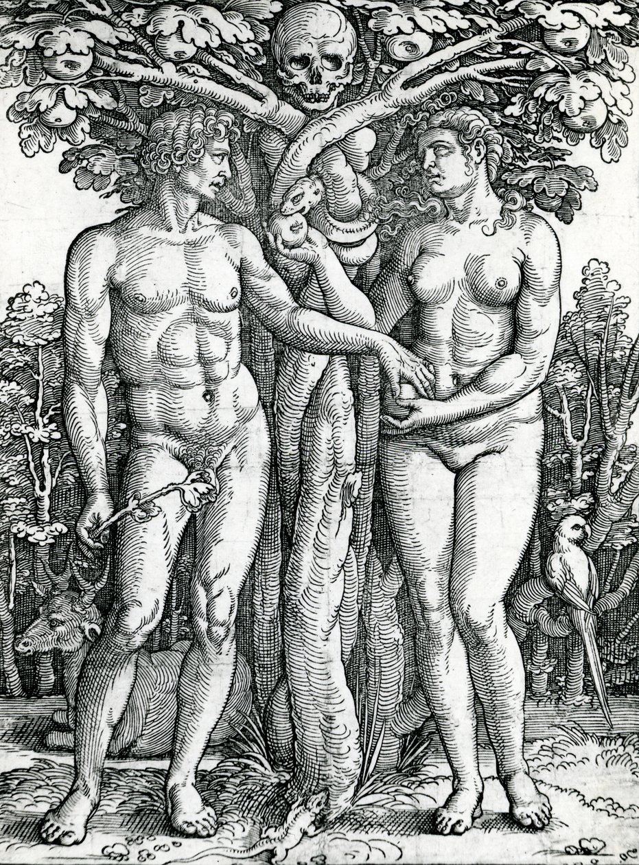 アダムとイブの堕落、1525-27年頃（木版画） 作： ハンス・セバルド・ベハム