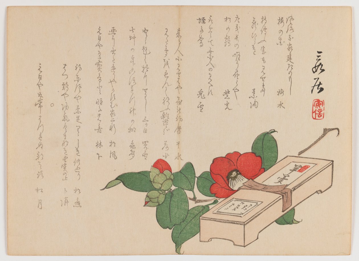 お菓子の箱入り椿（羊かん）、1860年（版画、横長横形） 作： 松川半山