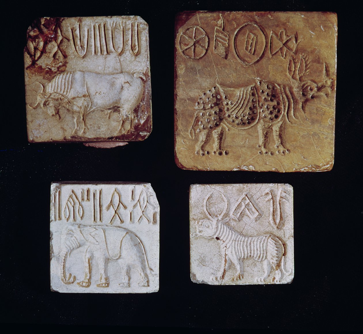 紀元前3000年〜1500年のパキスタン、インダス渓谷の雄牛、サイ、象、虎を絵文字で描いた4つのアザラシ 作： はらっぱん