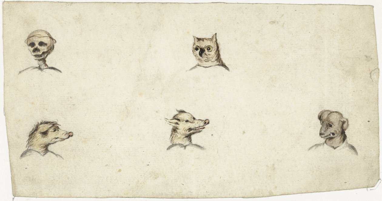 4 匹の動物の頭と骸骨 作： Harmen ter Borch