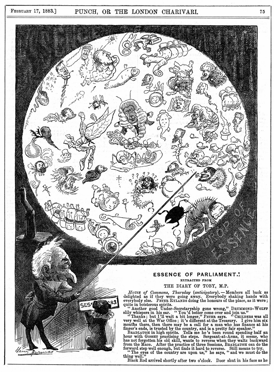 国会の本質。1883年第1回国会開会記念漫画（木版画 作： ハリー・ファーニス
