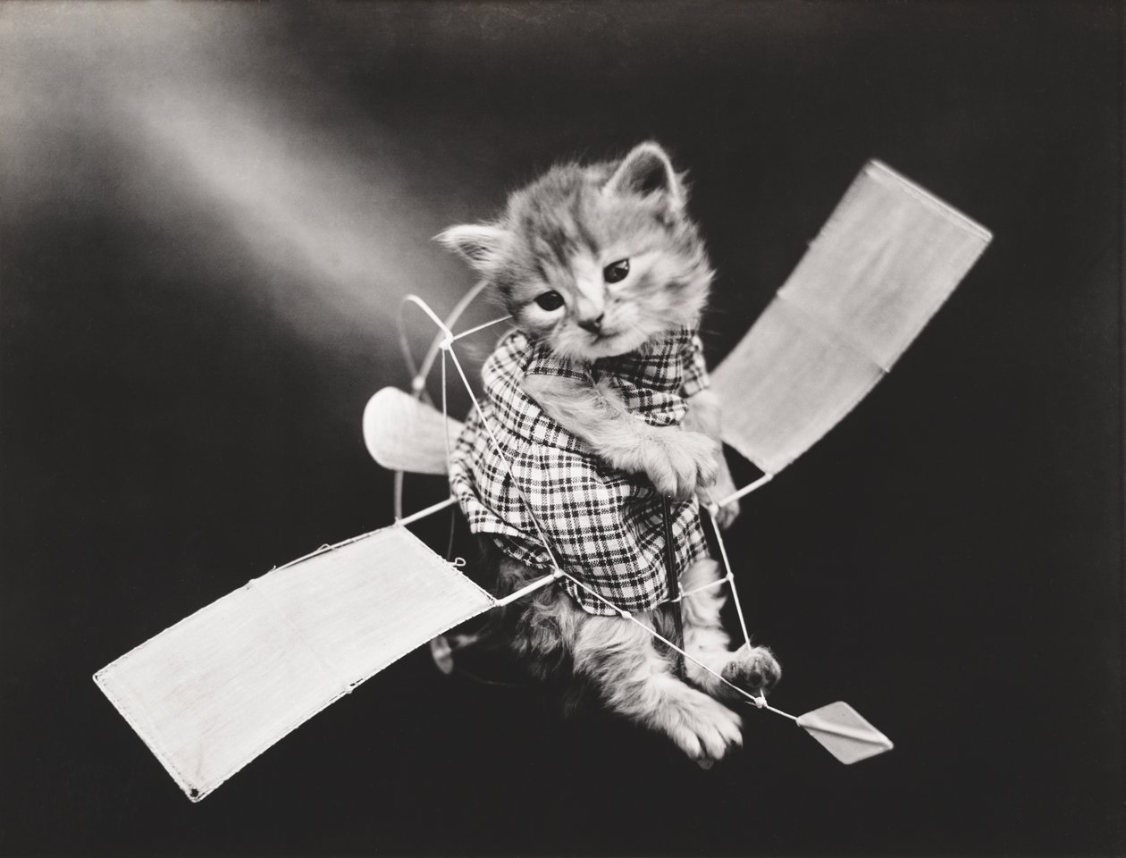 キティーシリーズ飛行機を飛ばすパイロット 1914年頃（シルバープリント） 作： ハリー・ウィッティア・フリーズ