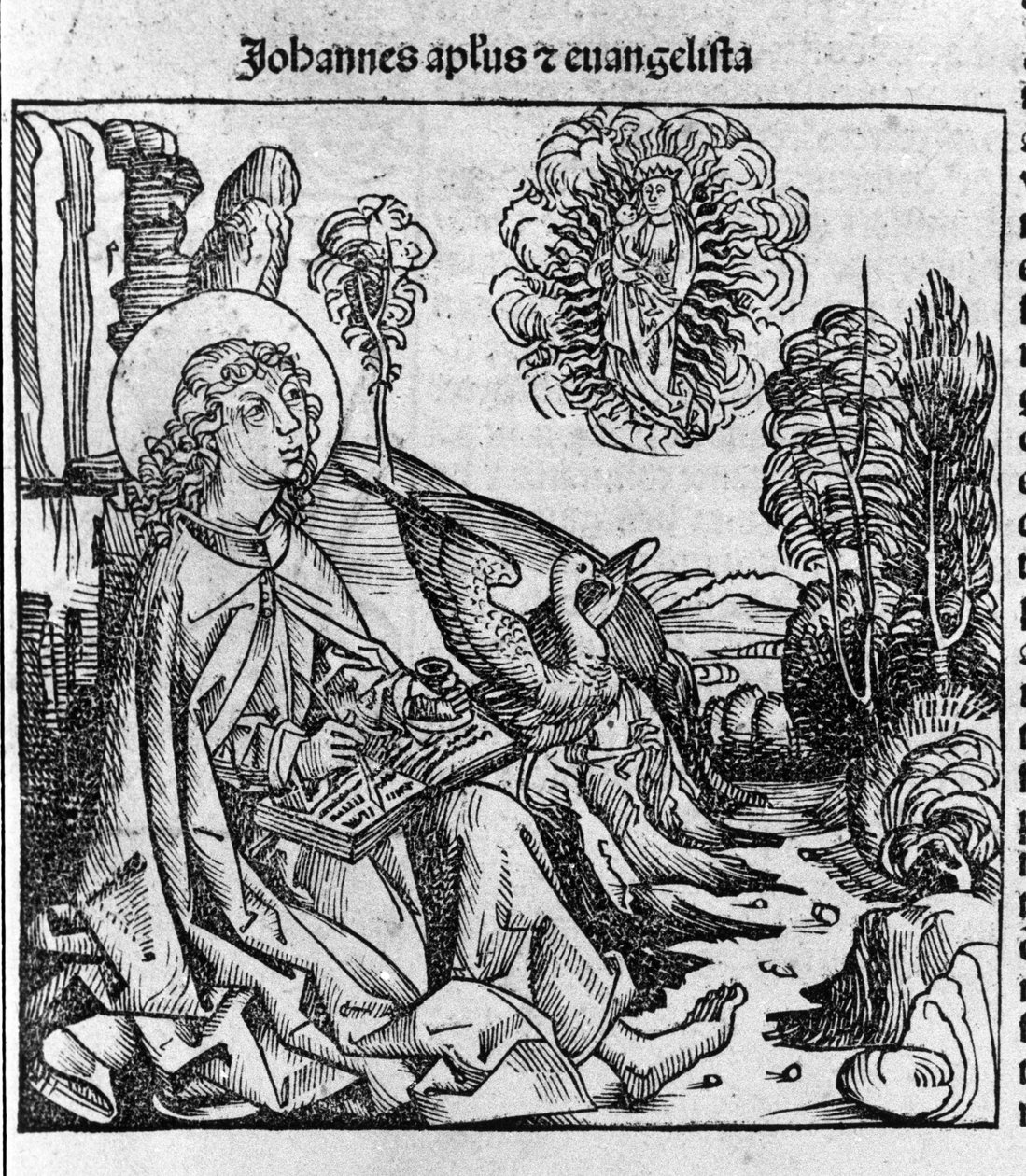 伝道者聖ヨハネの表現。ハルトマン・シェデルによる「Liber chronicarum」（ニュルンベルク年代記）からの版画 1493年 作： ハルトマン・シェデル