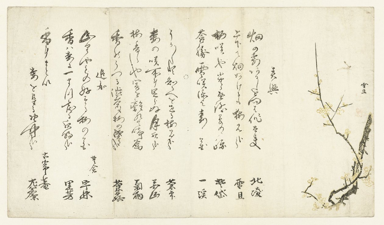 梅 作： 長谷川雪tan