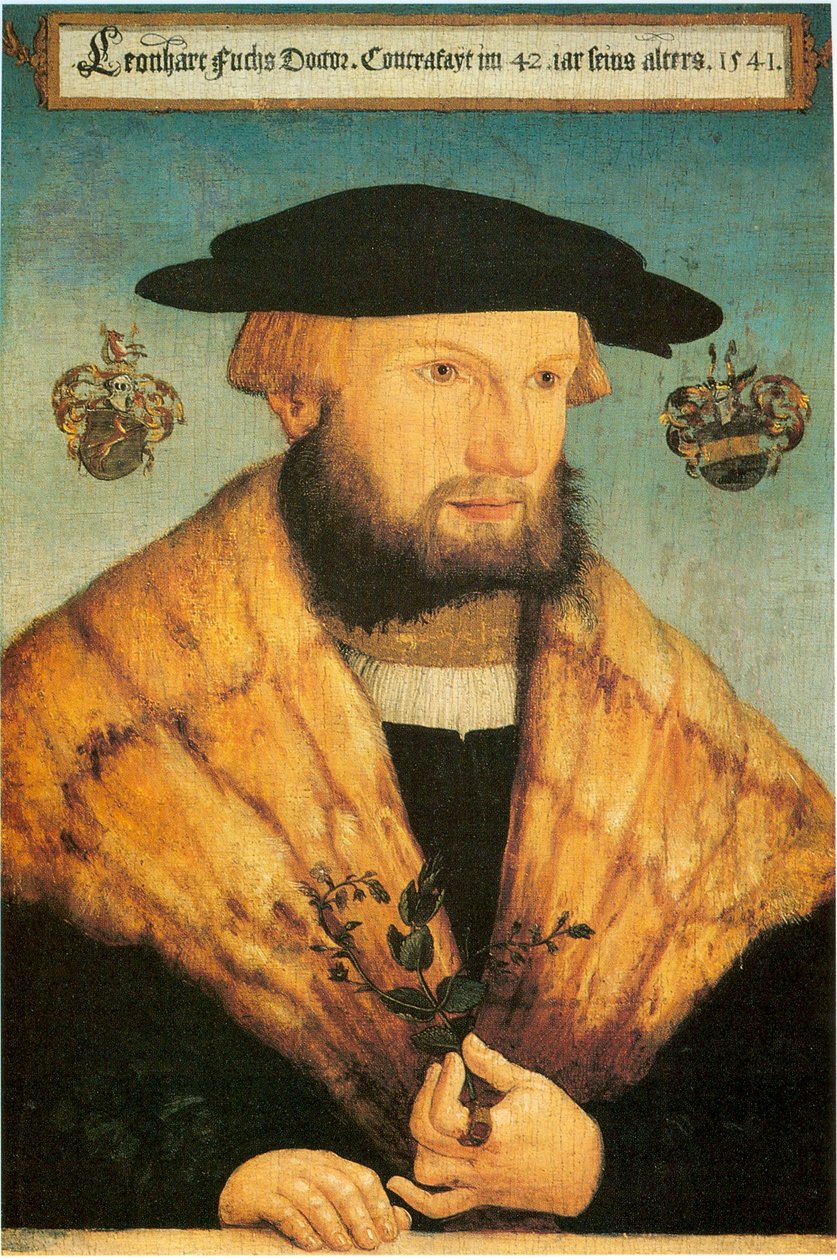 レオンハルト・フックス（1501-1566）の肖像 作： ハインリッヒ・フルマウラー