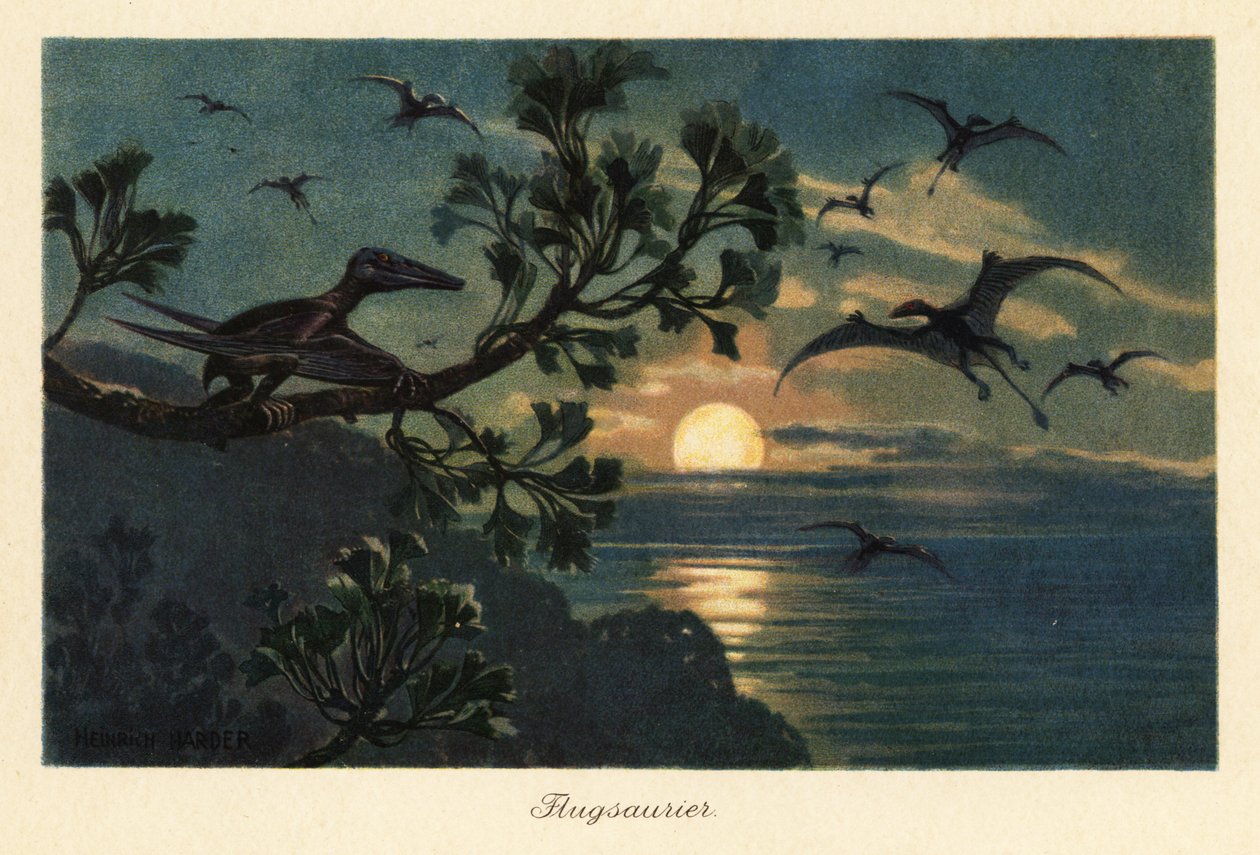 月明かりの中を飛んでいる Rhamphorhynchus 翼竜。 作： ヘンリーハーダー
