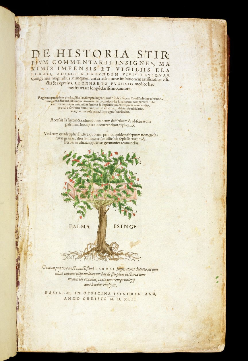 Rodolphe Speckle（d.1550）によって刻まれたLeonard Fuchs（1501-66）による &39;De Historia Stirpium Commentarii Insignes&39;のタイトルページ、1542年公開 作： ハインリッヒアンドマイヤー、アルバートフルモーラー