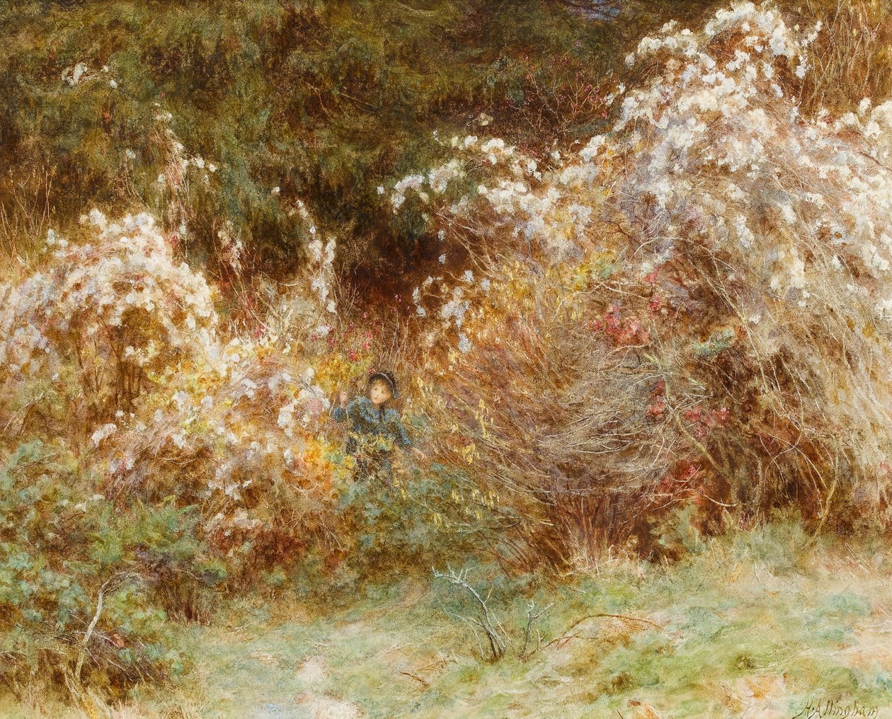 Travellers Joy：A Surrey Hedgerow（紙にトイレ） 作： ヘレン・アリンガム
