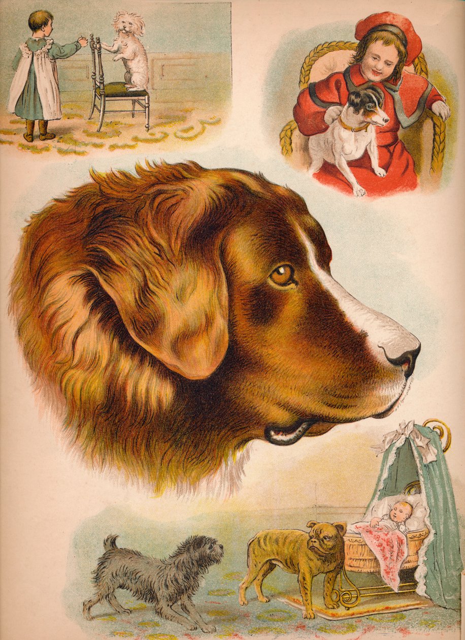 犬、c1900 作： ヘレナ・J・マグワイア