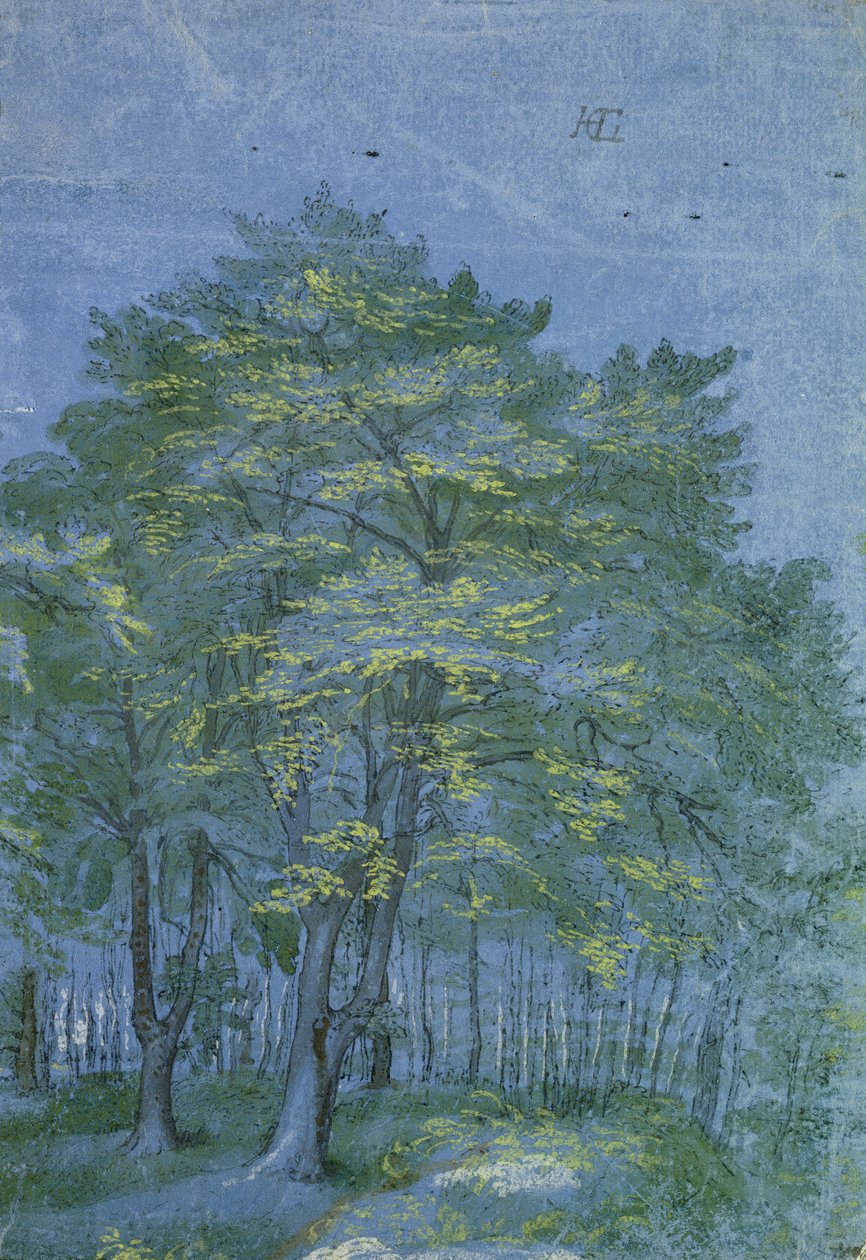 森の木々、c.1600（ペンとインクと紙の上で洗う） 作： ヘンドリック・ゴルツィウス