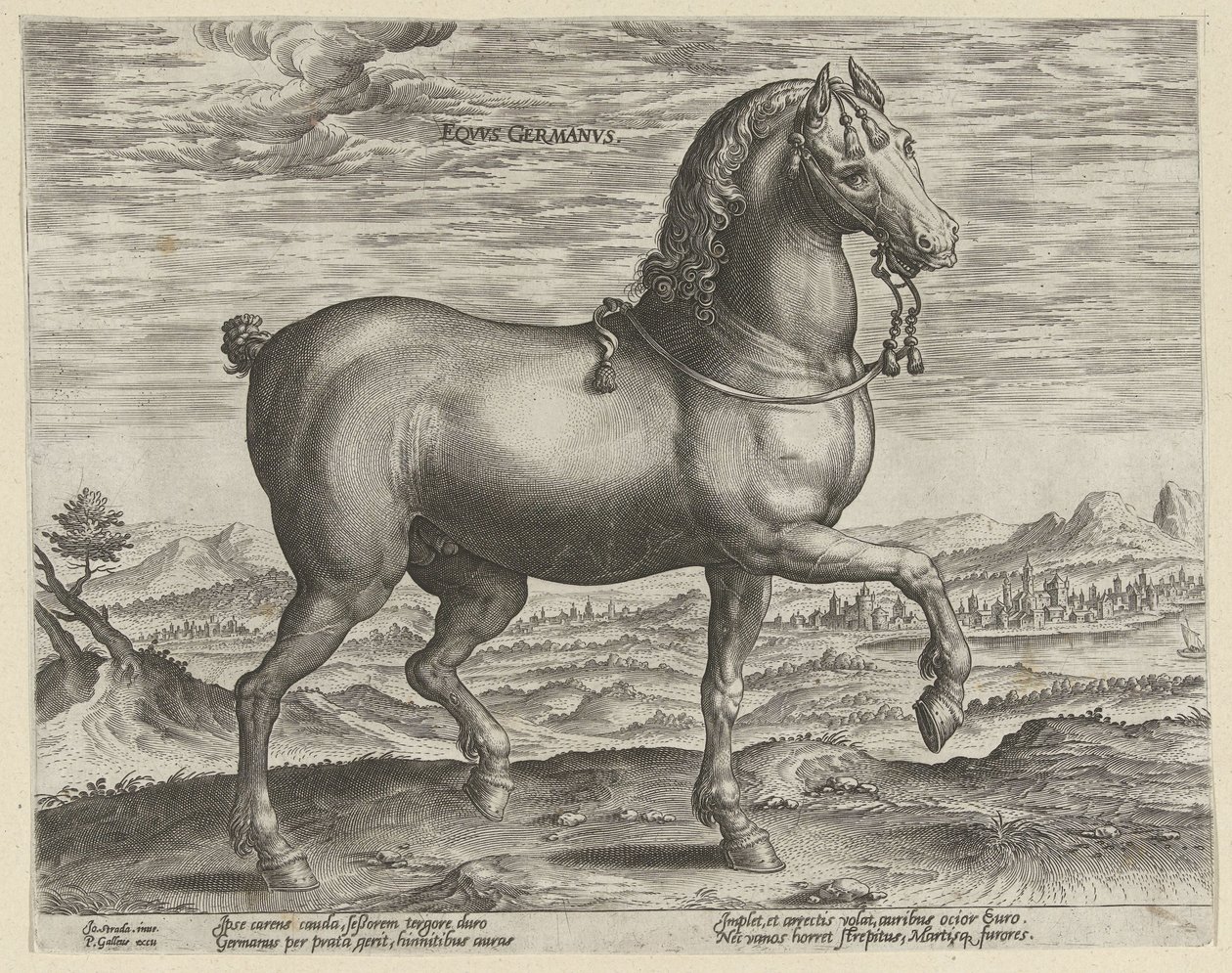 ドイツの種牡馬 Eqvvs Germanvs (オブジェクトのタイトル) オーストリアのドン ファンの王室厩舎の馬の品種 (シリーズ タイトル) Equile Ioannis Austriaci Caroli (シリーズタイトル) 作： ヘンドリック・ホルツィウス（おそらく）