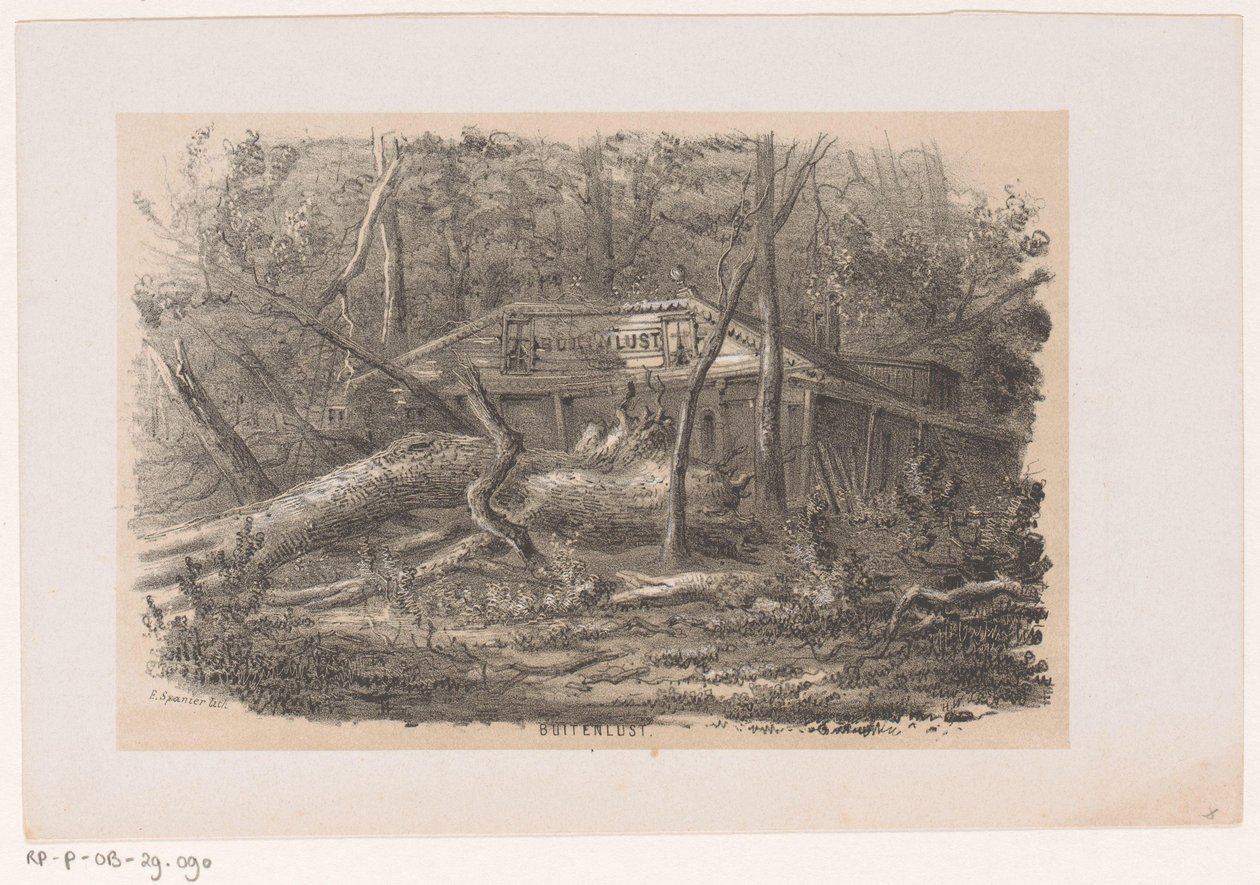 1860 年 5 月 28 日の嵐の後、Buitenlust 近くの吹き倒された木 屋外の欲望 (オブジェクトのタイトル) 1860 年 5 月 28 日の嵐の影響を受けたトネーレン ファン デ フェルウォスティングを描いた 10 枚のリトグラフ スケッチのアルバム 作： ヘンドリックウィルヘルムスラスト
