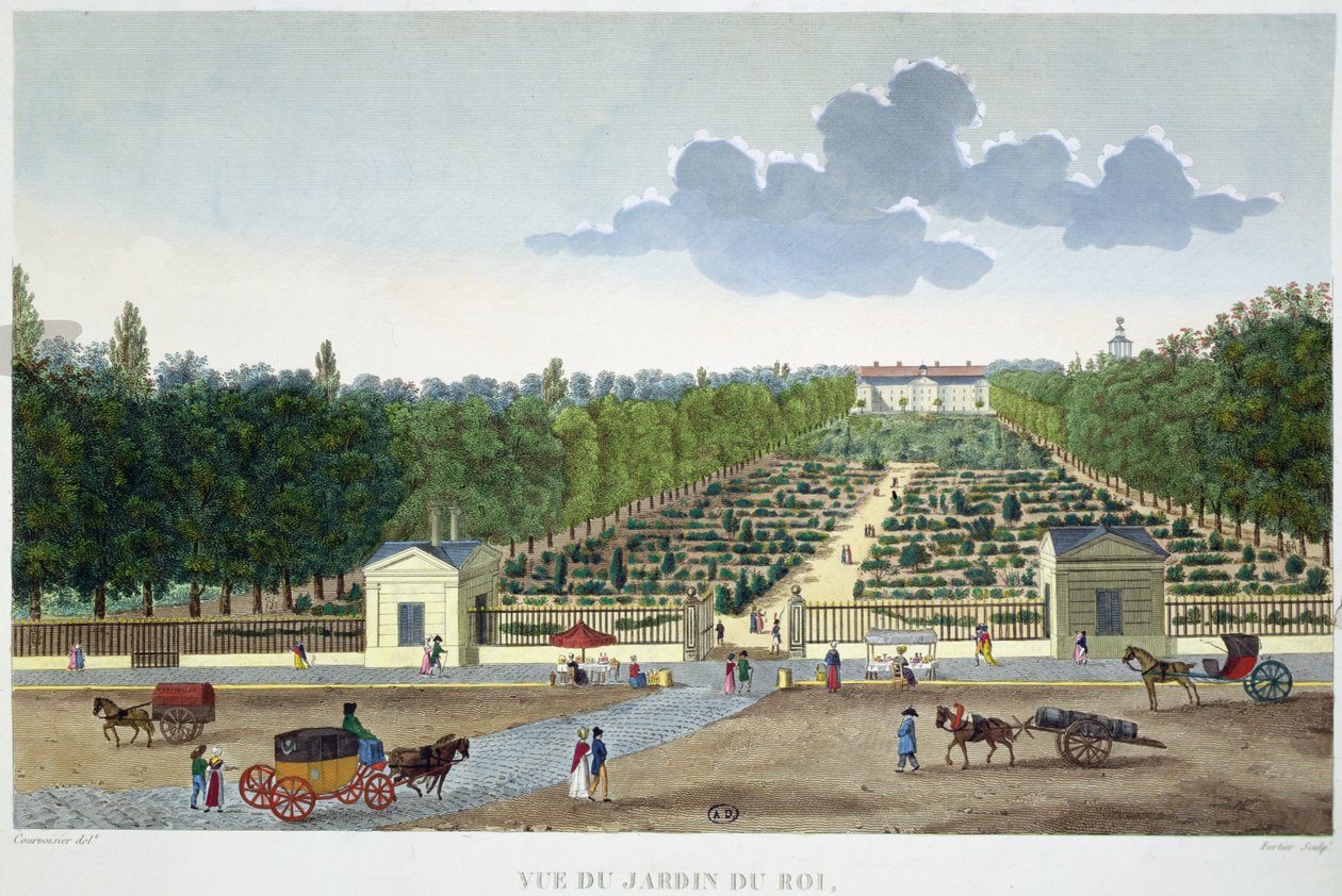 アウステルリッツの橋からパリの王宮庭園を望む クロード・フォルティエ（1775-1835）によるカラー・エングレーヴィング 作： アンリ（後）クルボアジェヴォワシン