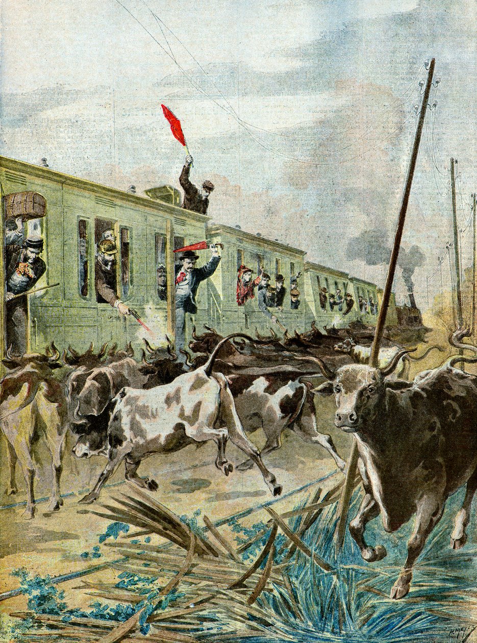 雄牛の群れに襲われる列車（イラスト）1895年 作： アンリマイヤー