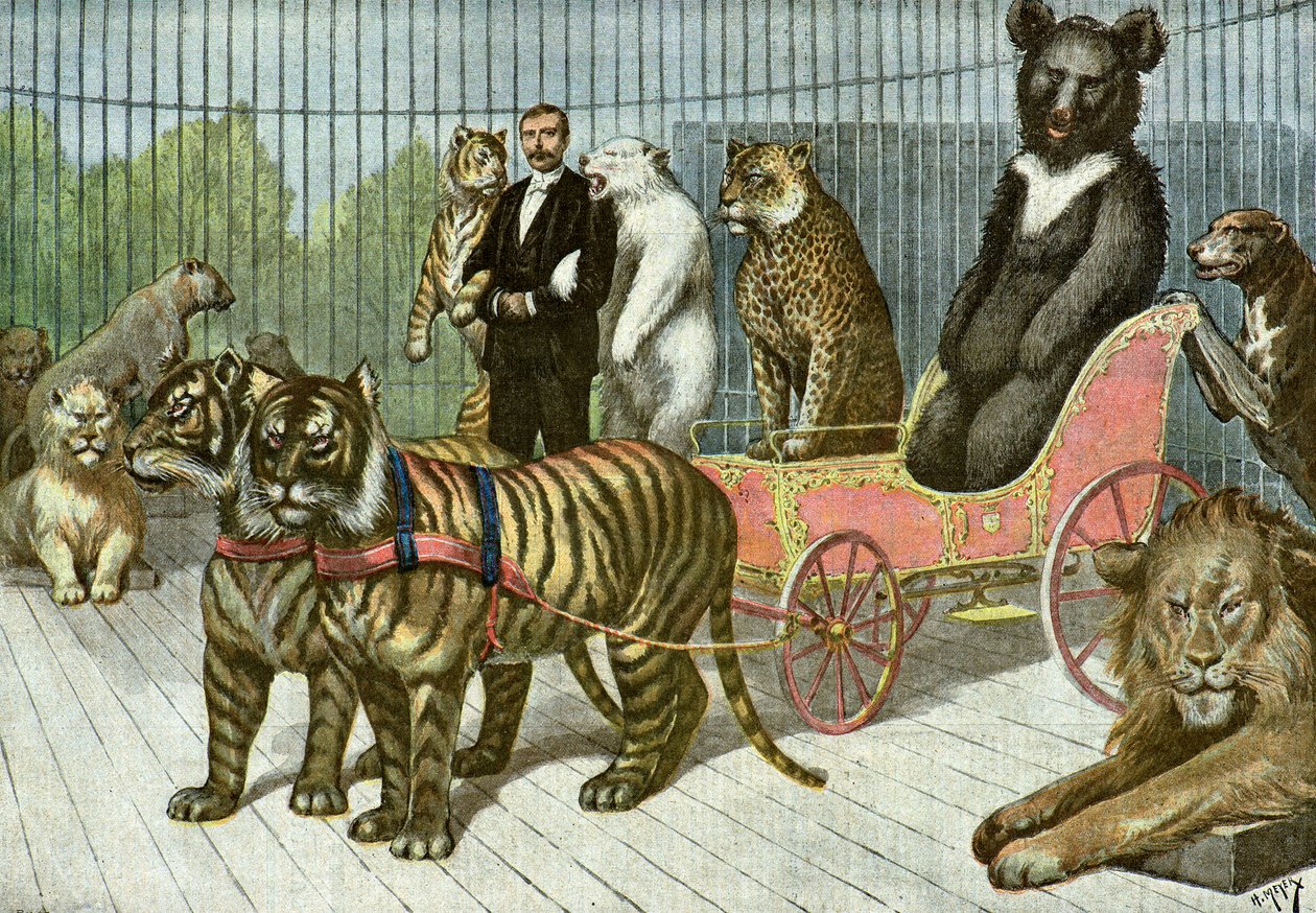 1895年、順化の庭にあるベットのケージ（イラストレーション） 作： アンリマイヤー