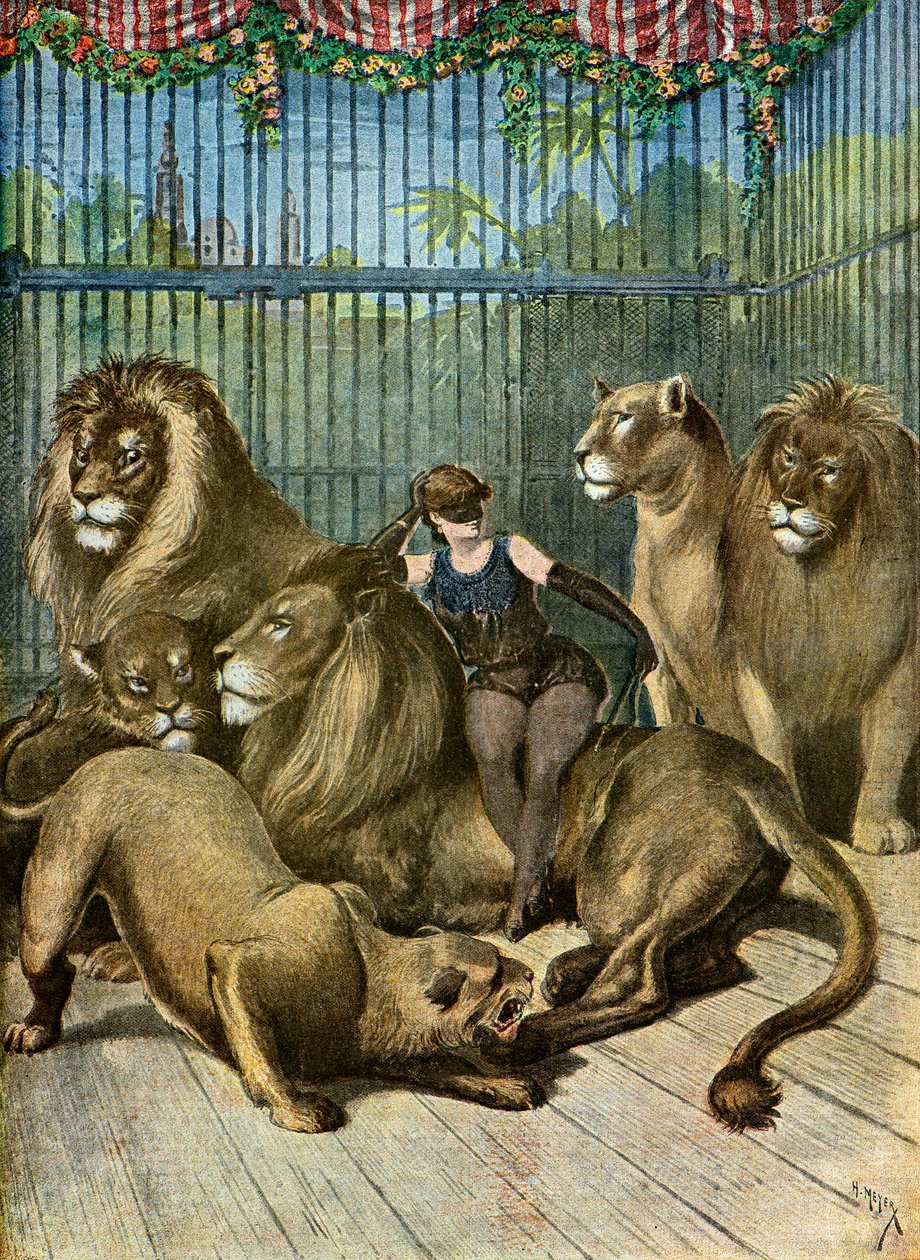 X***伯爵夫人と獅子たちの肖像（イラスト）、1895年 作： アンリマイヤー