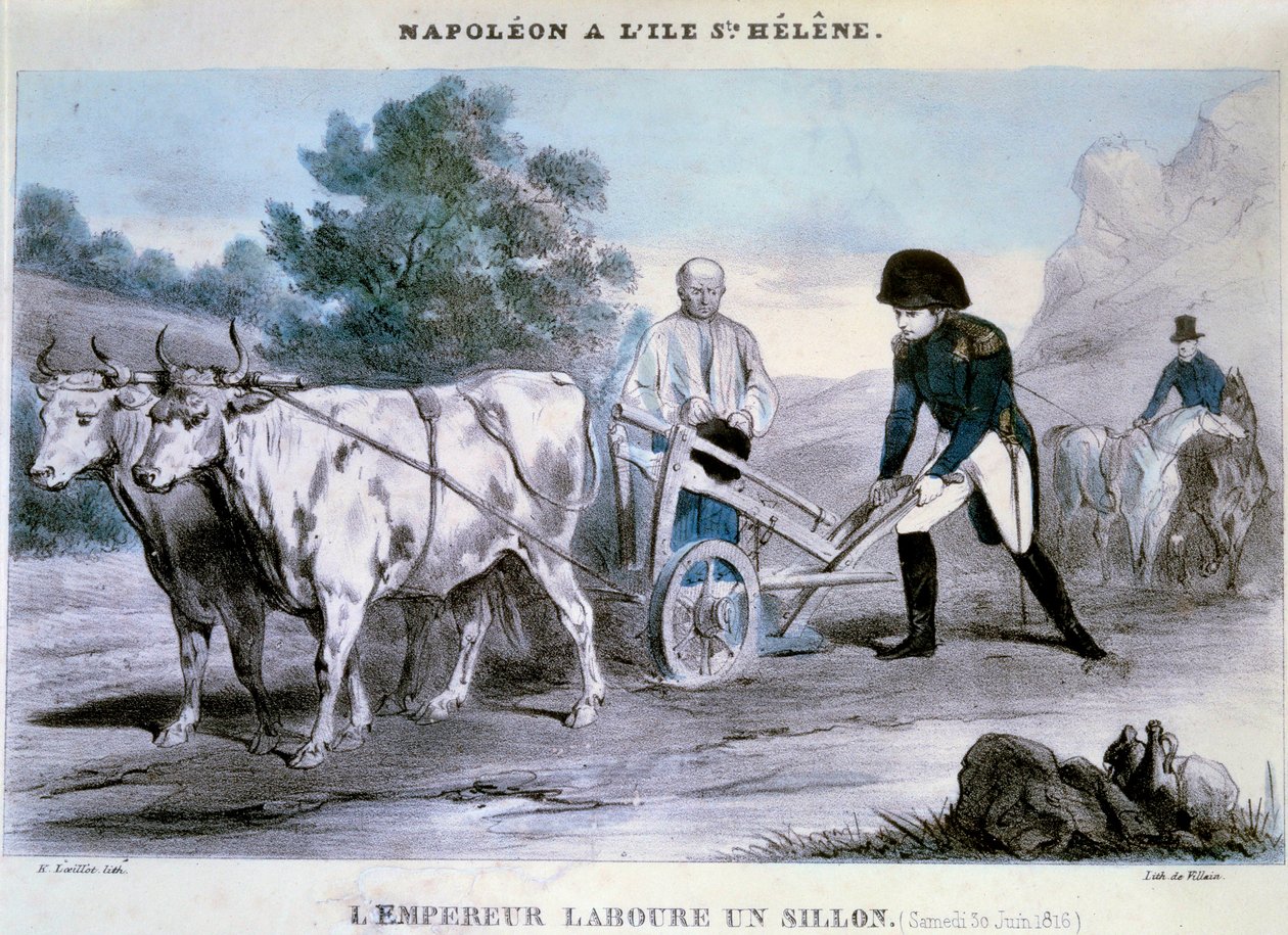 ナポレオン1世 (1769-1821) a Saint Helene: the emperor plows a furrow (30/06/1816) Lithography of Villain.1816年 イル・デ・ゼ、ナポレオニエン美術館 作： アンリ・ヴィラン