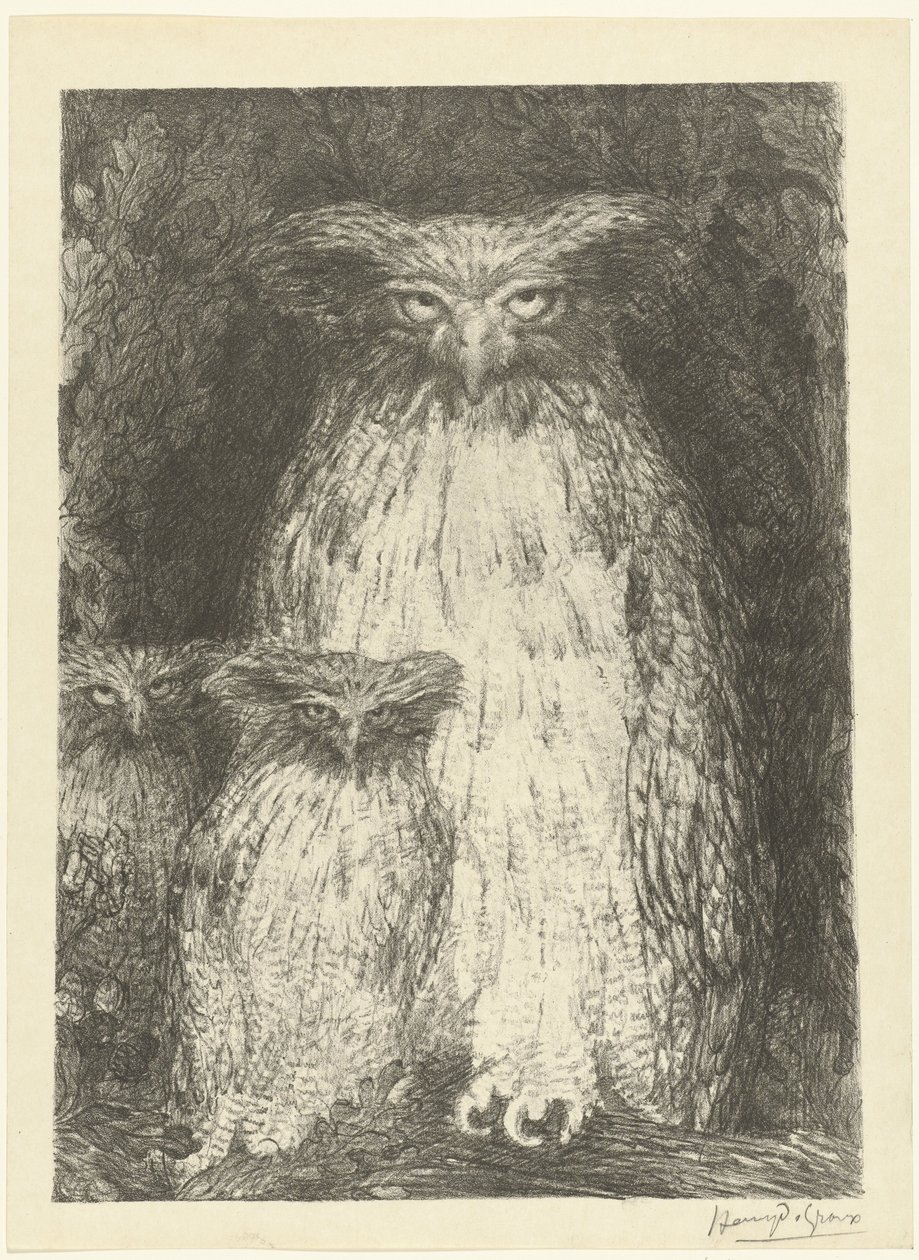 枝に座っている 2 つのフクロウの雛とフクロウ 3羽のフクロウの研究 レプルーヴ（シリーズタイトル） 作： アンリ・ド・グルー