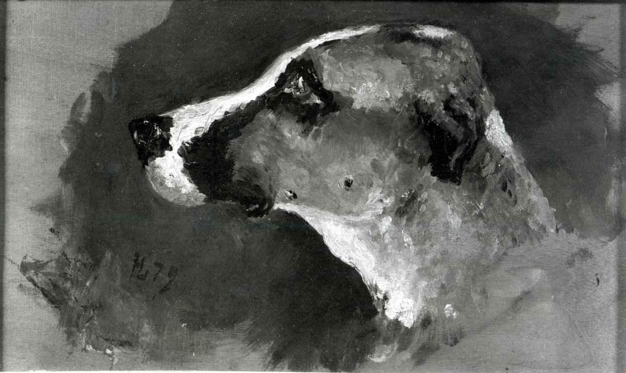耳の短い犬の頭、1879年 作： アンリ・ド・トゥールーズ・ロートレック