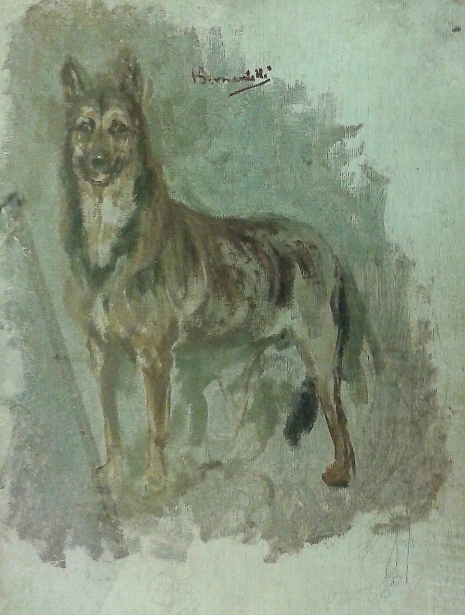 動物の研究[犬] 作： エンリケ・ベルナルデリ