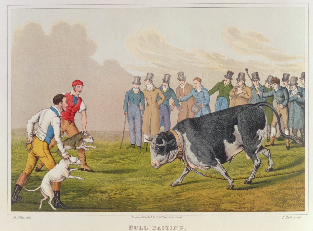 &39;Bull Baiting&39;、pub。by Thomas McLean、1820、（print） 作： ヘンリー・トーマス・アルケン