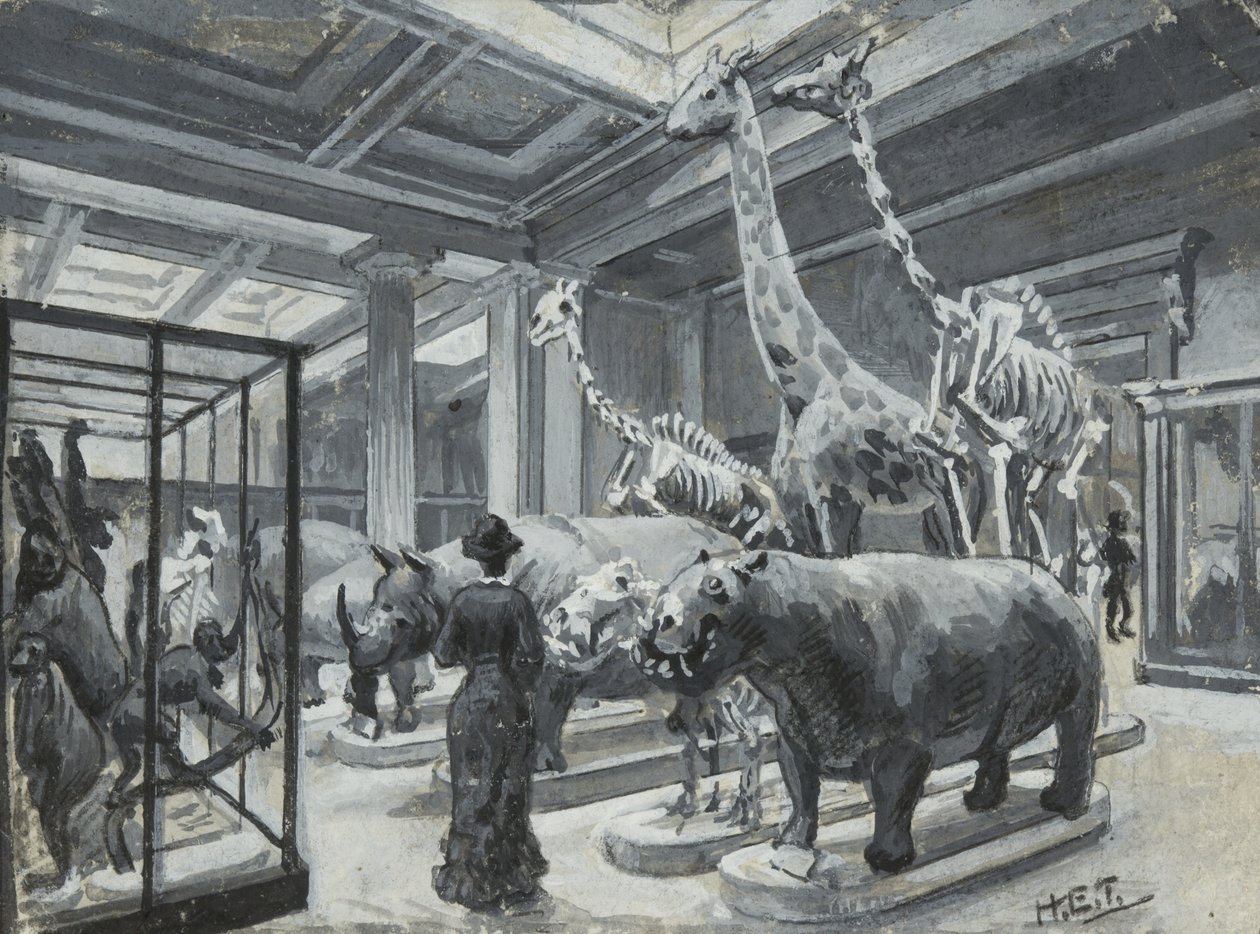 1880年頃の動物展示を含むギャラリーを示す大英博物館の内観 作： ヘンリー・エドワード・ティドマーシュ
