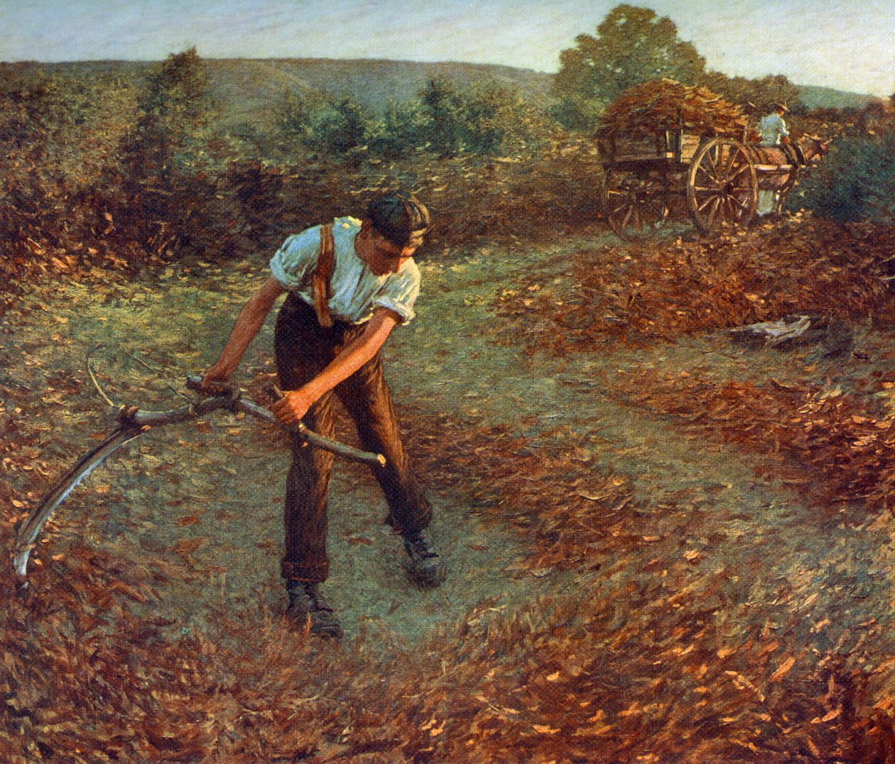 ワラビの刈り取り、c1903、1912。 作： ヘンリー・ハーバート・ラ・サングエ
