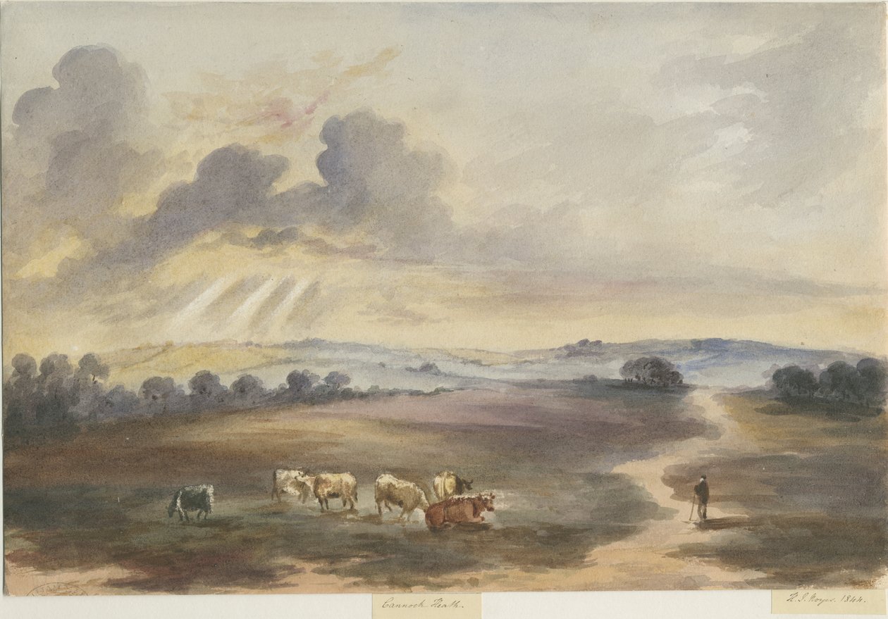 Cannock Chase-"Heath"：水彩画、1844 作： ヘンリー・ジェームズ・ノイエス