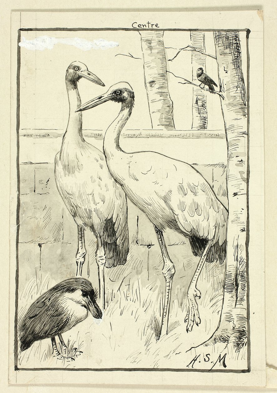 風景の中の4羽の鳥 作： ヘンリーステイシーマークス