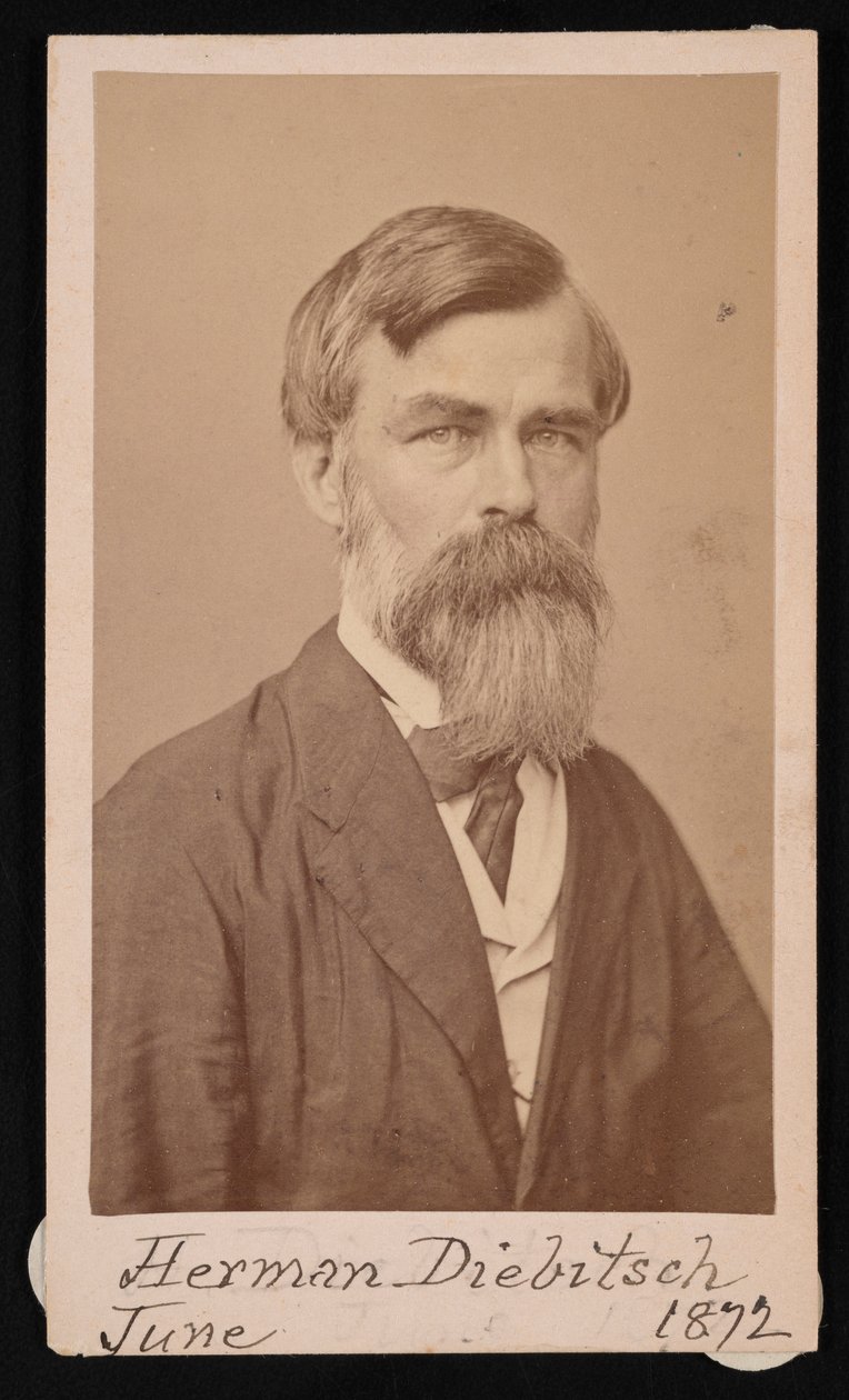 Herman Henry Diebitsch 1818-1883、1871 の肖像。 作： ヘンリー・ウルケ