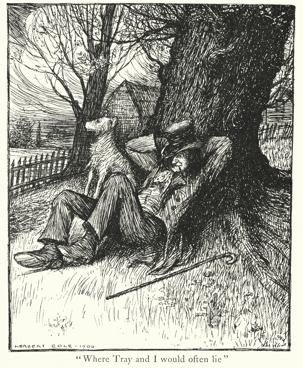  作： ハーバート・コール