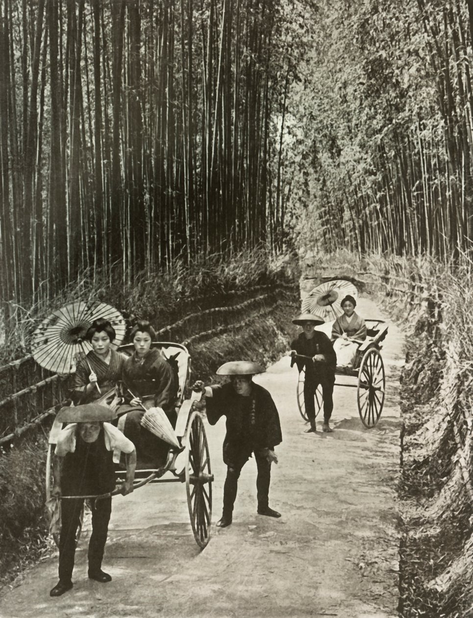 京都の竹道、1910年。 作： ハーバート・ポンティング