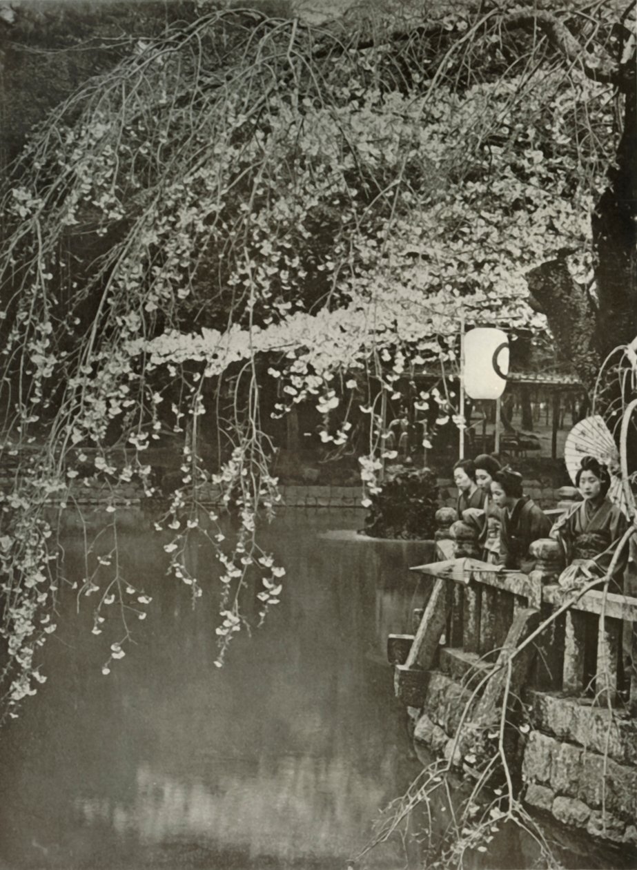 日本の桜の時間、1910年。 作： ハーバート・ポンティング