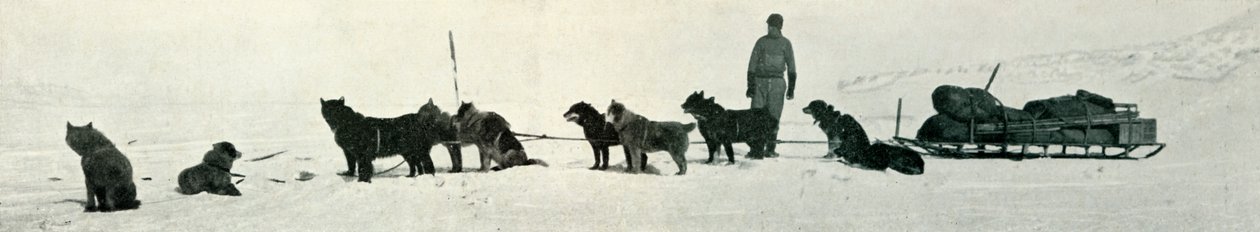 ハットポイントを去ろうとしている店を持つ犬、1911年、1913年 作： ハーバート・ポンティング