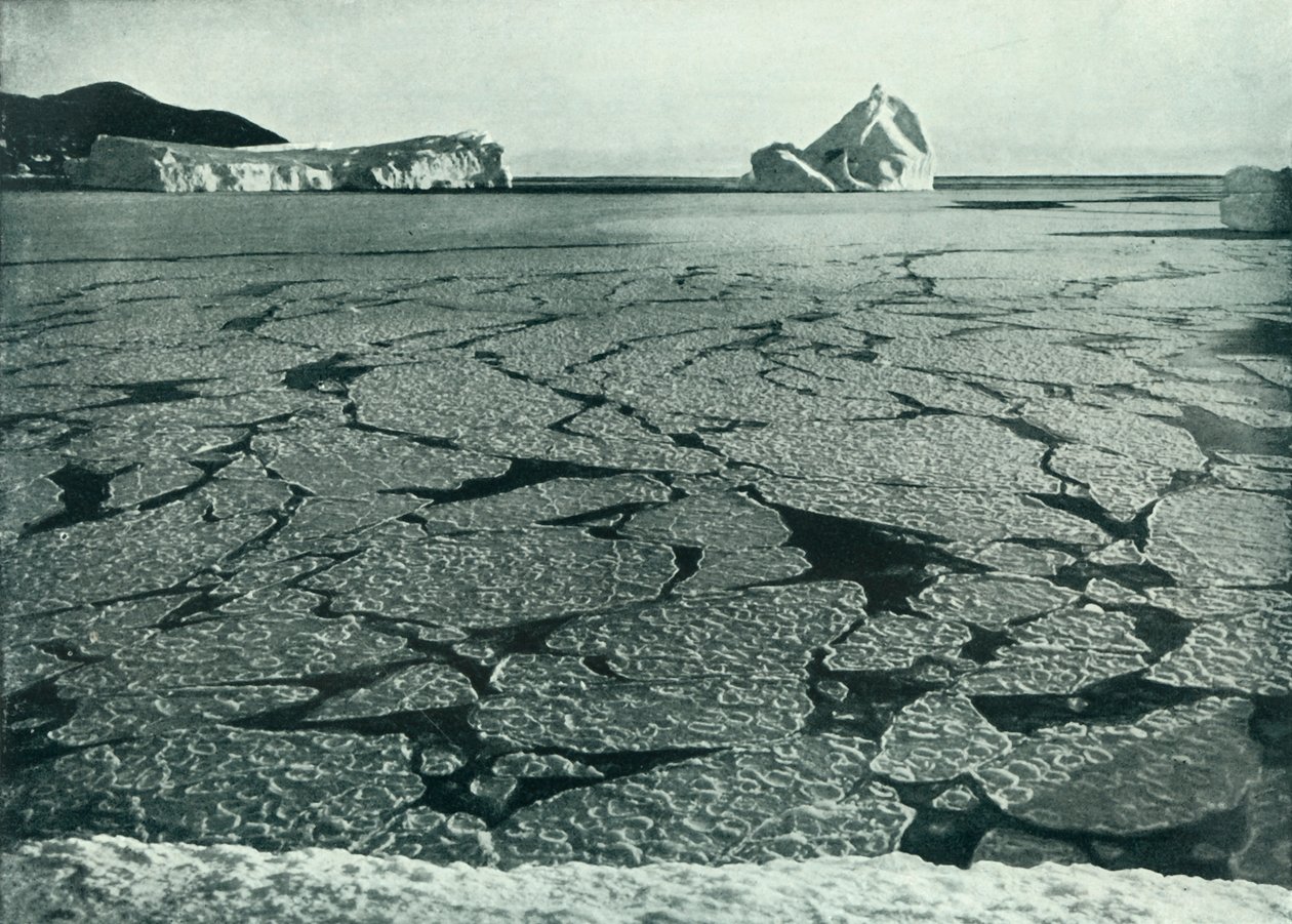 エヴァンス岬沖の流氷にパンケーキの氷が形成、c19101913、1913。 作： ハーバート・ポンティング