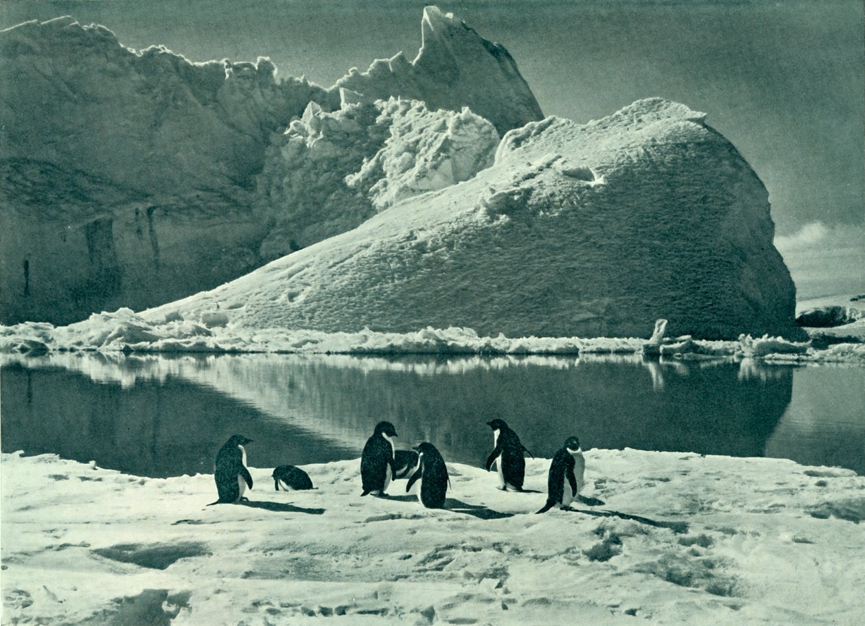 サマータイム-The Ice Opening Up、c19101913、1913。 作： ハーバート・ポンティング