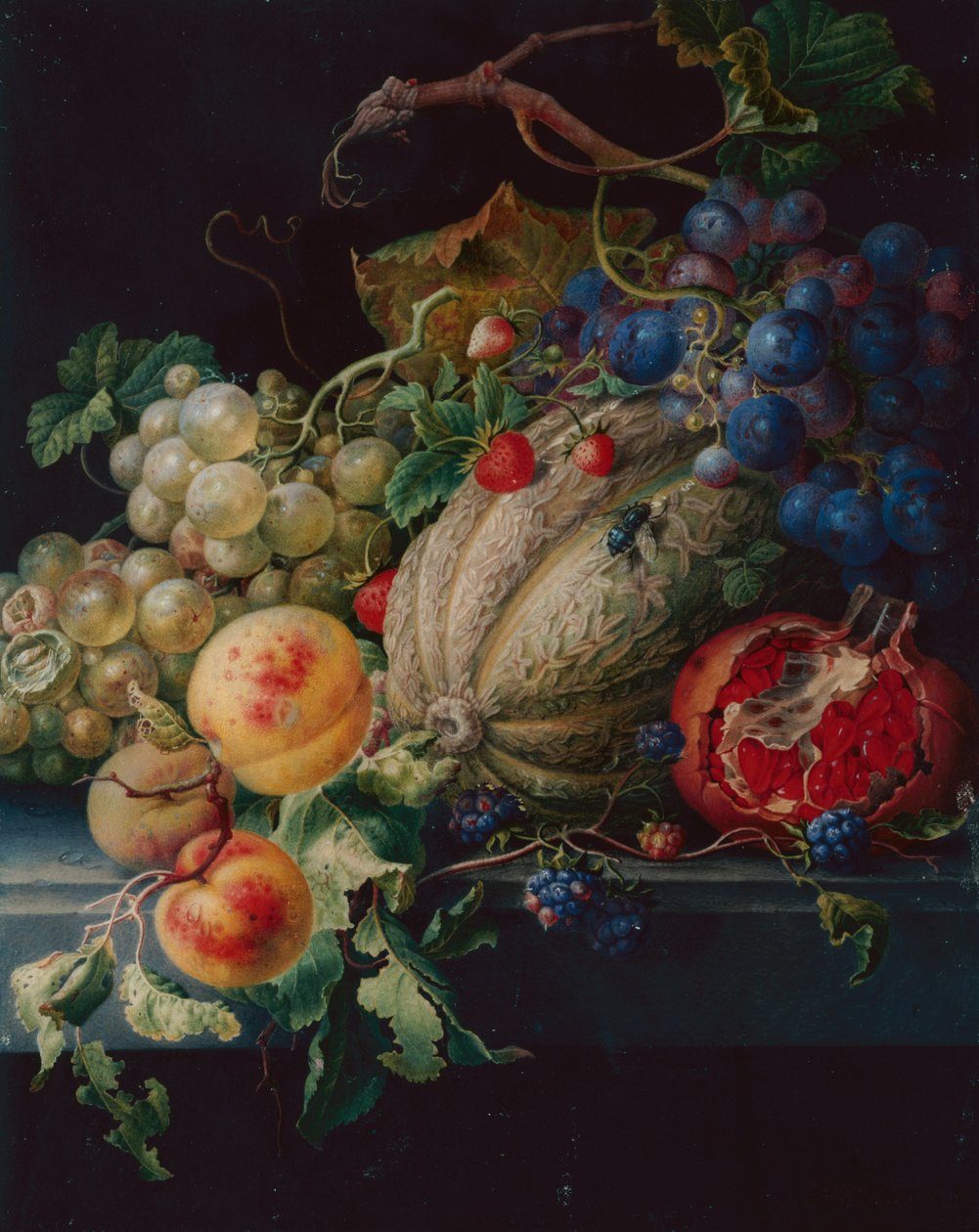 石のうえの静物