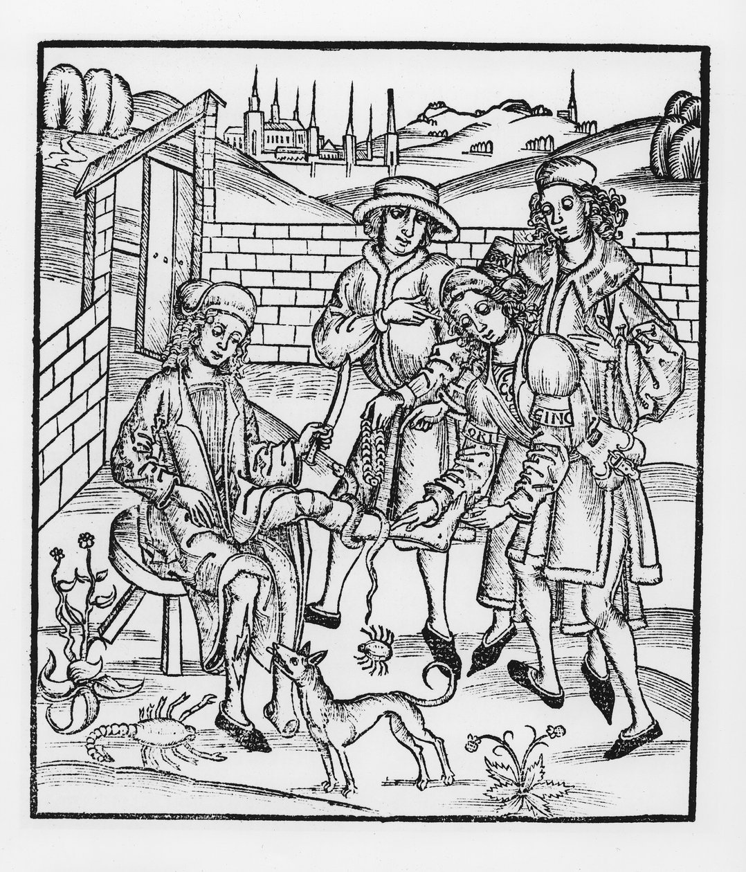 1497年に出版された「シルギアの書」から出版されたストラスブールのヘビにかまれた傾向 作： ヒエロニムス・ブランシュヴィヒ