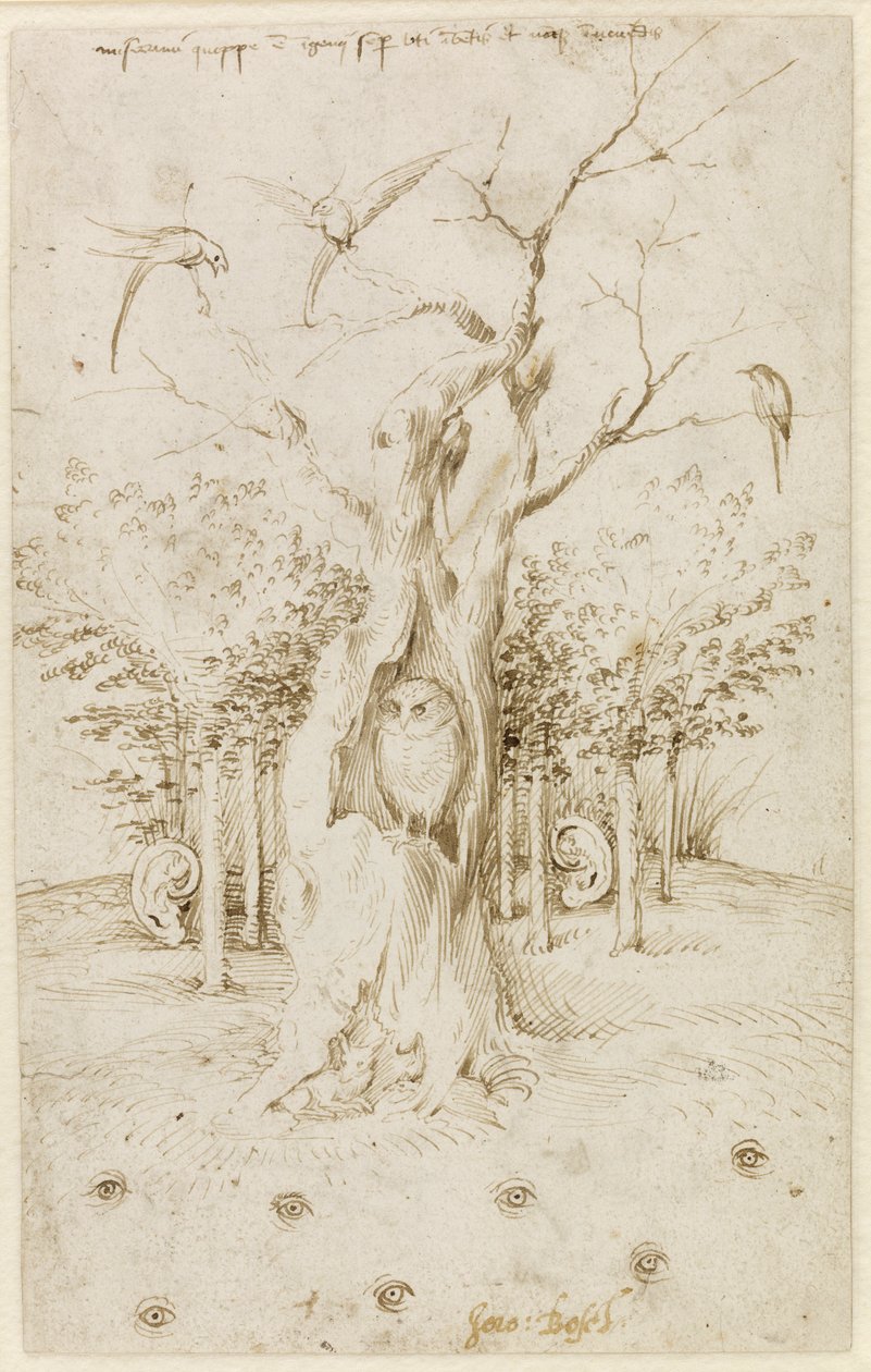 木には耳があり、野には目がある par Bosch, Hieronymus (c. 1450-1516).紙にペン、茶色の墨、サイズ：20,2x12,7、1500年～1515年頃、ベルリン国立博物館蔵 作： ヒエロニムス・ボッシュ