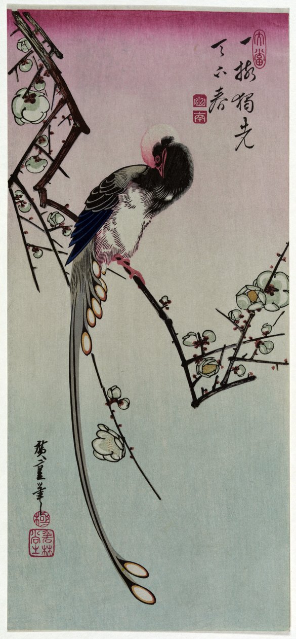 Ume ni Onagadori 作： 歌川広重
