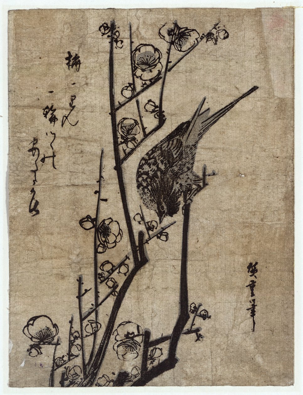 梅にうぐいす（梅とウグイス） 作： 歌川広重