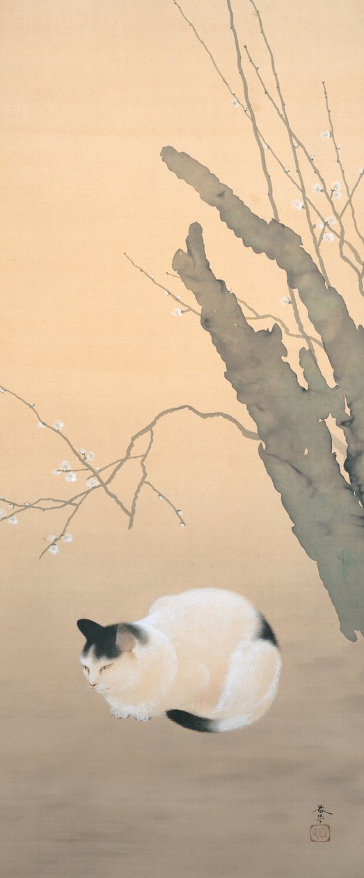 猫と梅の花 作： 菱田春草