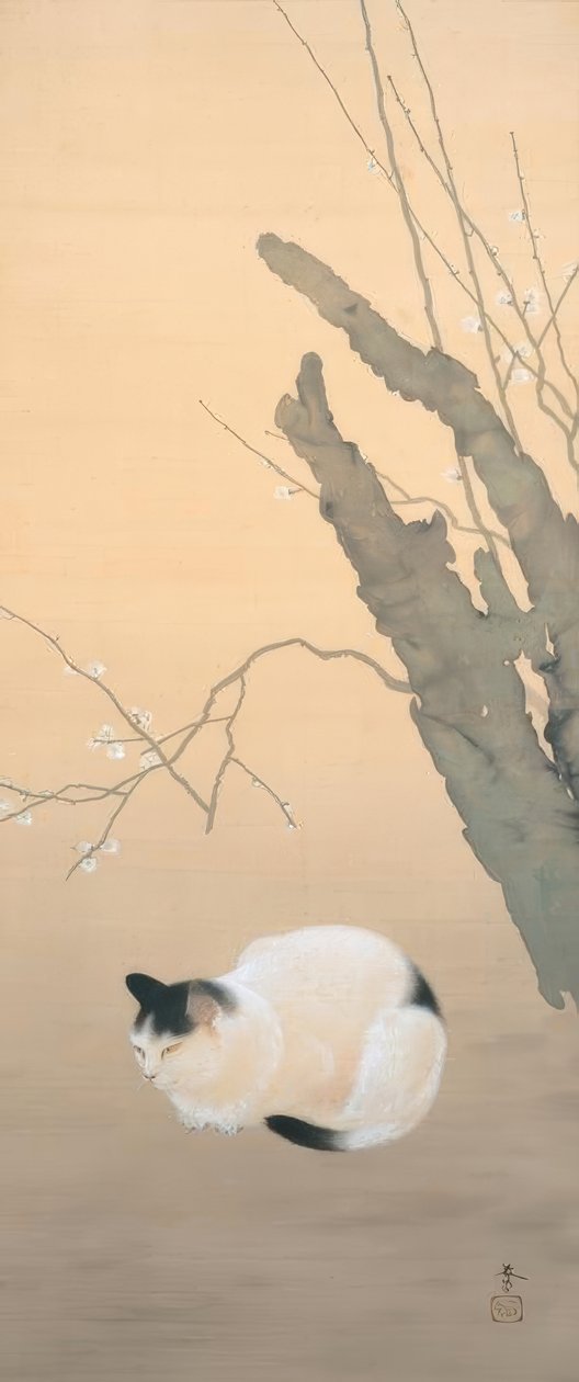菱田春草猫と梅 作： 菱田春草